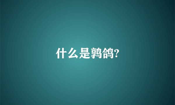 什么是鹑鸽?