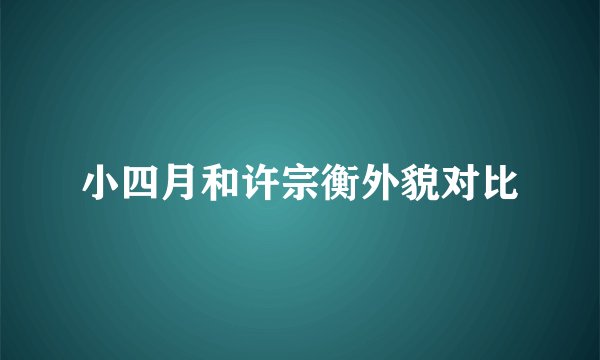 小四月和许宗衡外貌对比