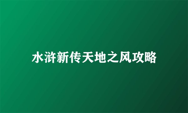 水浒新传天地之风攻略