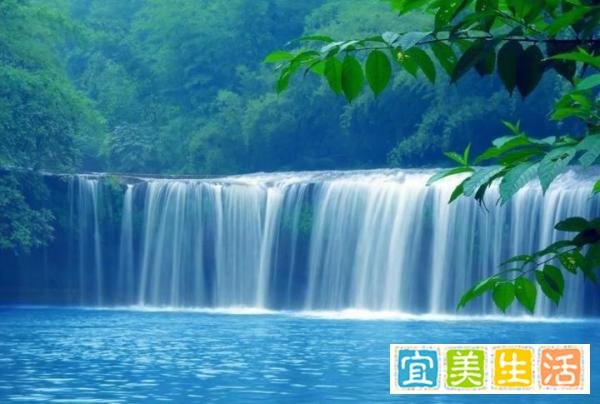 常被忽视的相机“景深预览”功能,你会用吗?