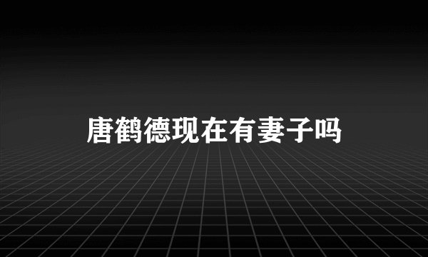 唐鹤德现在有妻子吗