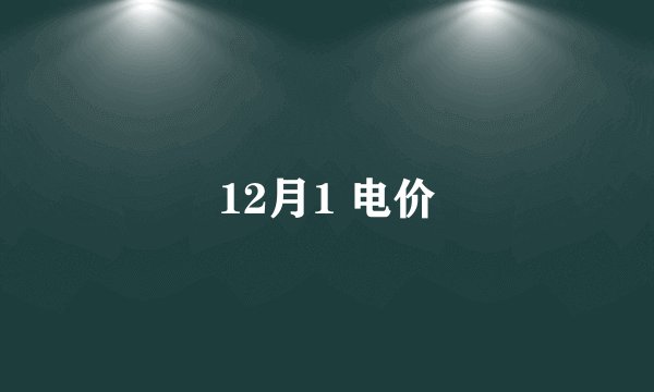 12月1 电价