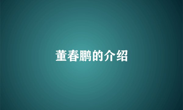 董春鹏的介绍