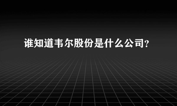 谁知道韦尔股份是什么公司？
