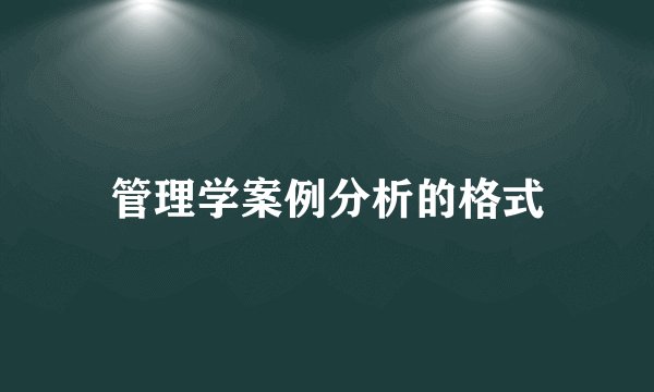 管理学案例分析的格式