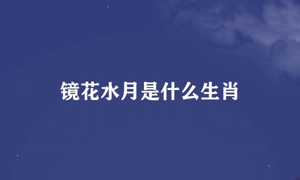 镜花水月是什么生肖