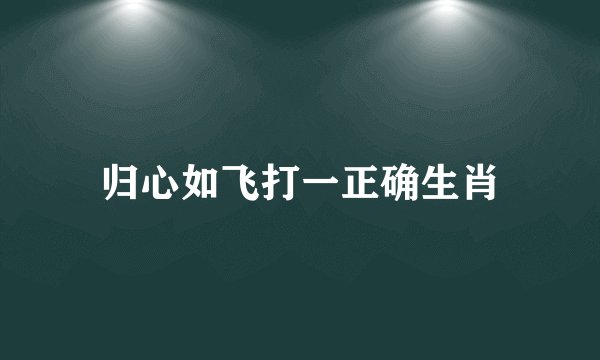 归心如飞打一正确生肖