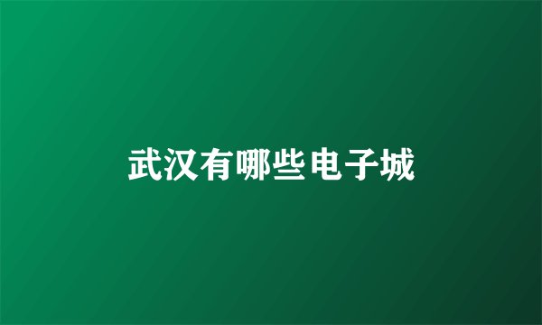 武汉有哪些电子城