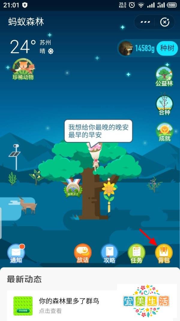 支付宝蚂蚁森林怎么不让好友偷能量