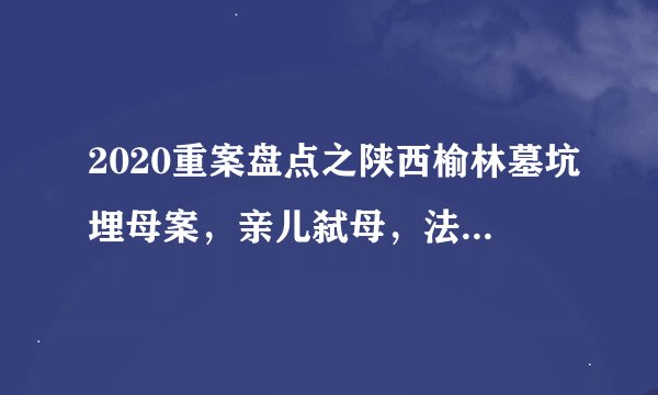 2020重案盘点之陕西榆林墓坑埋母案，亲儿弑母，法理不容！