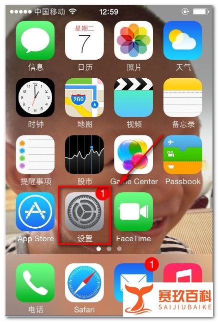 iphone4s如何设置上网