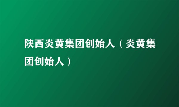 陕西炎黄集团创始人（炎黄集团创始人）
