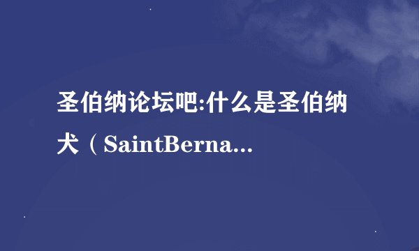 圣伯纳论坛吧:什么是圣伯纳犬（SaintBernard? ？