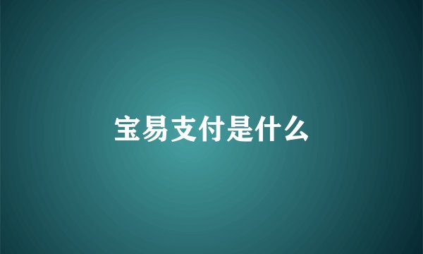 宝易支付是什么