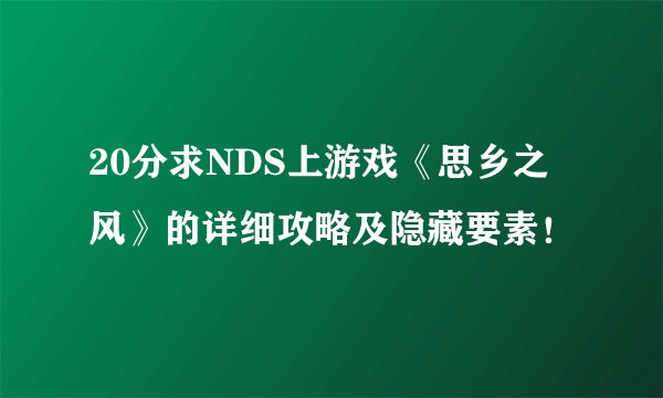 20分求NDS上游戏《思乡之风》的详细攻略及隐藏要素！
