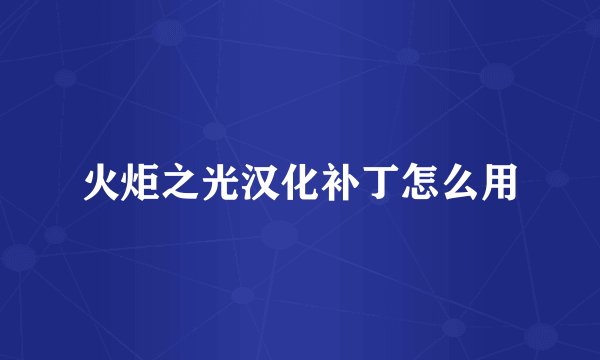 火炬之光汉化补丁怎么用