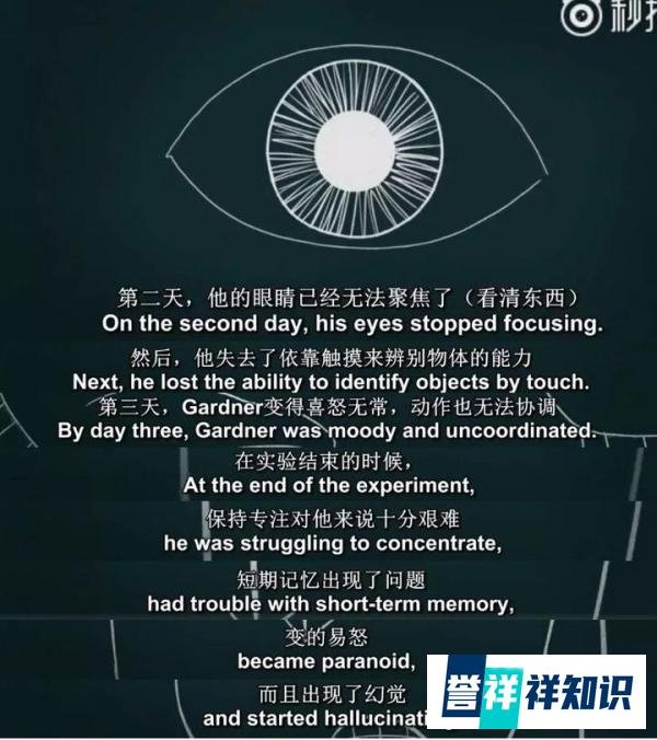 赖宝突发心梗去世:熬夜是对身体不好,但明天实在太苦逼了