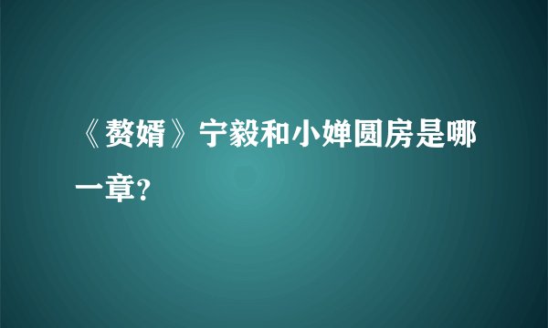 《赘婿》宁毅和小婵圆房是哪一章？