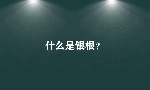 什么是银根？