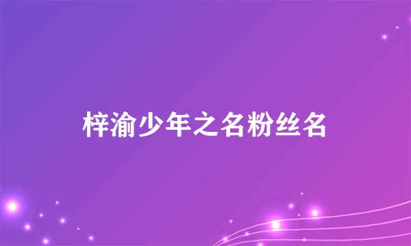 梓渝少年之名粉丝名