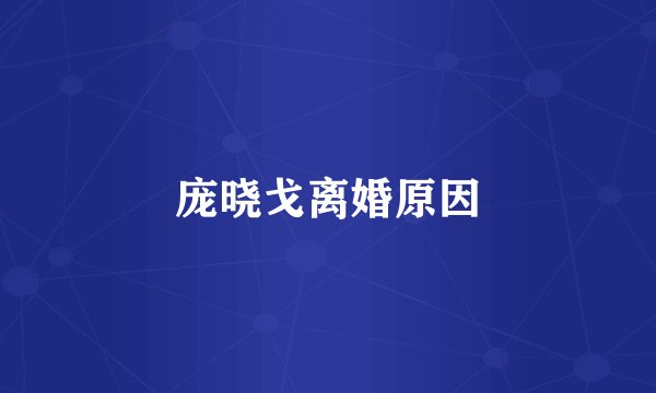 庞晓戈离婚原因