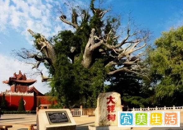 它是中国最大百家姓祠堂的地址