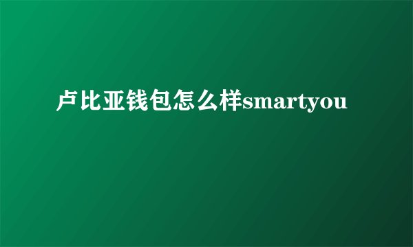 卢比亚钱包怎么样smartyou