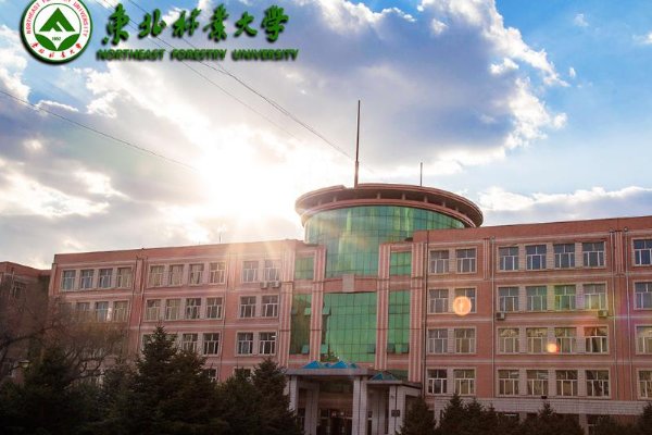 2023东北林大录取分数线