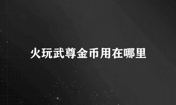 火玩武尊金币用在哪里