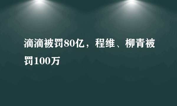 滴滴被罚80亿，程维、柳青被罚100万