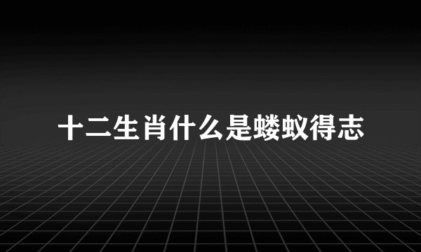 十二生肖什么是蝼蚁得志
