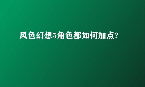 风色幻想5角色都如何加点?