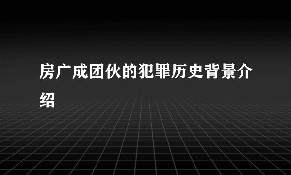 房广成团伙的犯罪历史背景介绍