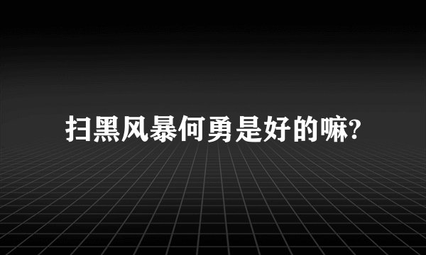 扫黑风暴何勇是好的嘛?