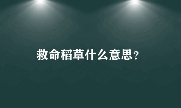 救命稻草什么意思？