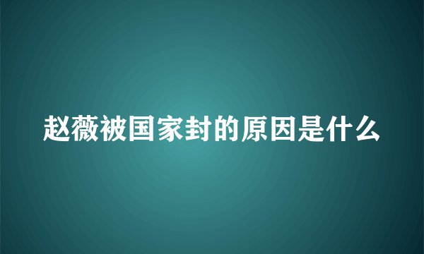 赵薇被国家封的原因是什么