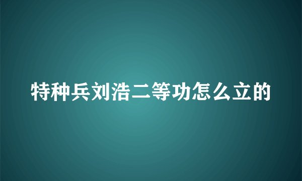 特种兵刘浩二等功怎么立的