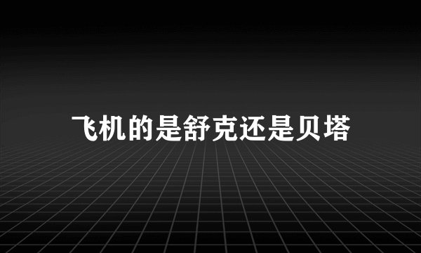 飞机的是舒克还是贝塔