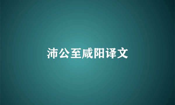 沛公至咸阳译文