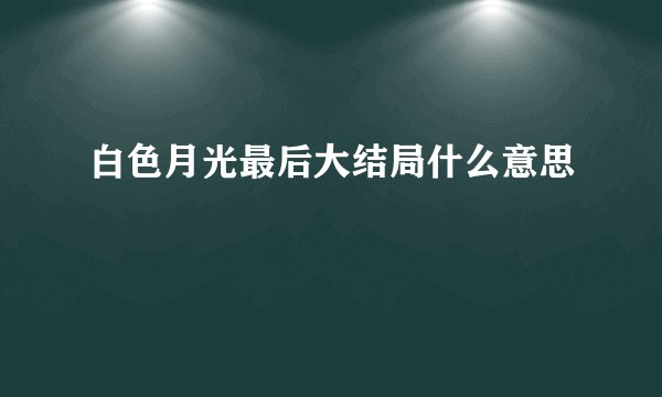 白色月光最后大结局什么意思