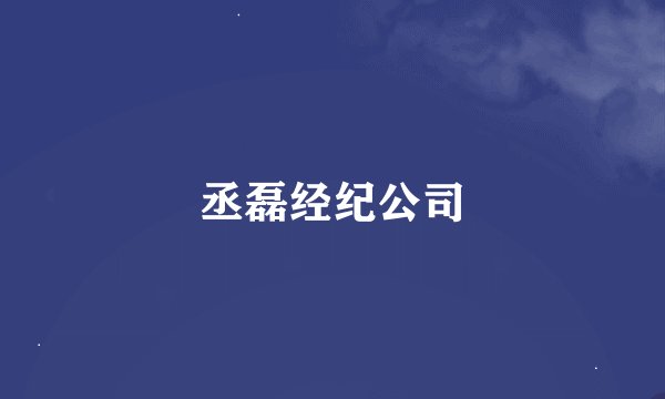丞磊经纪公司