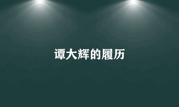 谭大辉的履历