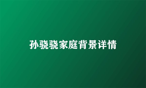 孙骁骁家庭背景详情