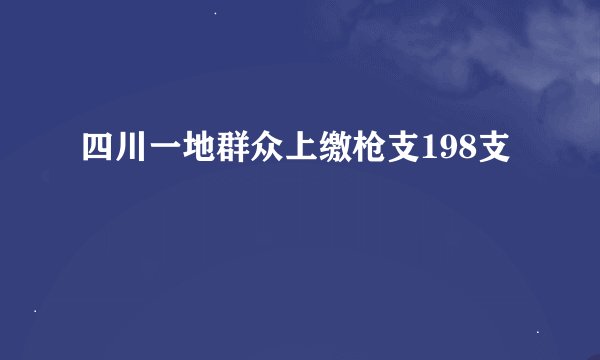 四川一地群众上缴枪支198支