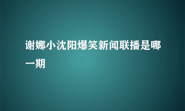 谢娜小沈阳爆笑新闻联播是哪一期