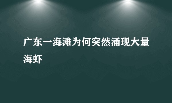 广东一海滩为何突然涌现大量海虾