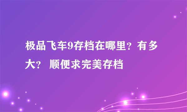 极品飞车9存档在哪里？有多大？ 顺便求完美存档
