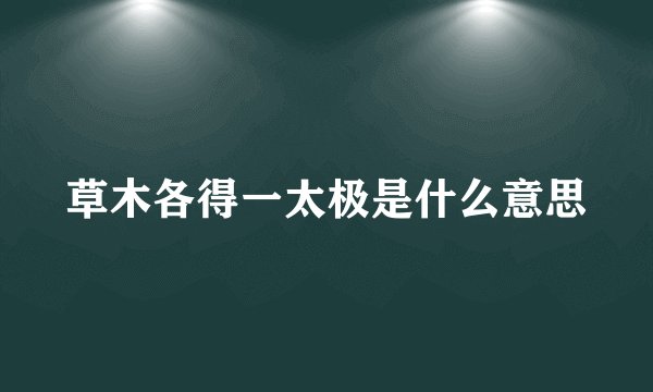 草木各得一太极是什么意思