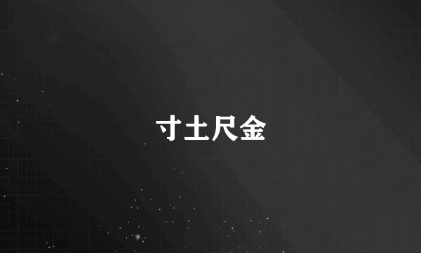 寸土尺金