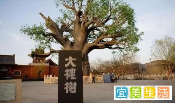 它是中国最大百家姓祠堂的地址